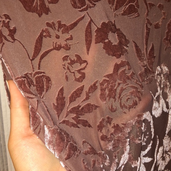 Velvet Sheer Bodysuit - Picture 6 of 12